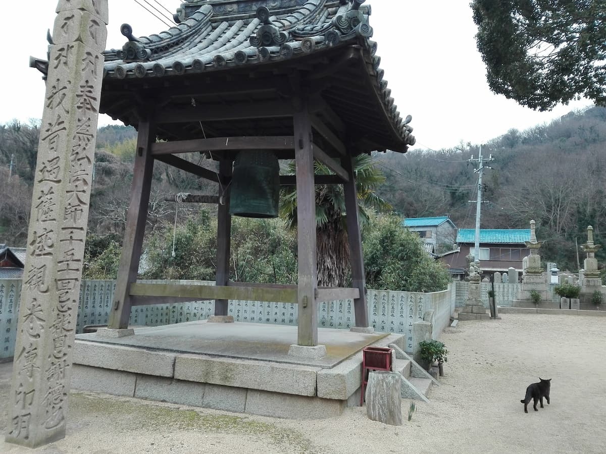 cat-in-the-temple