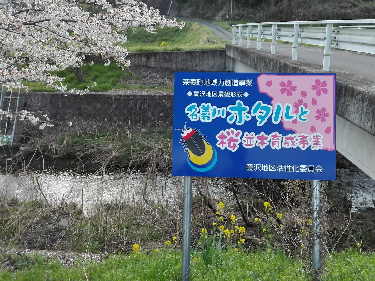 Nagi-river-firefly-information-board