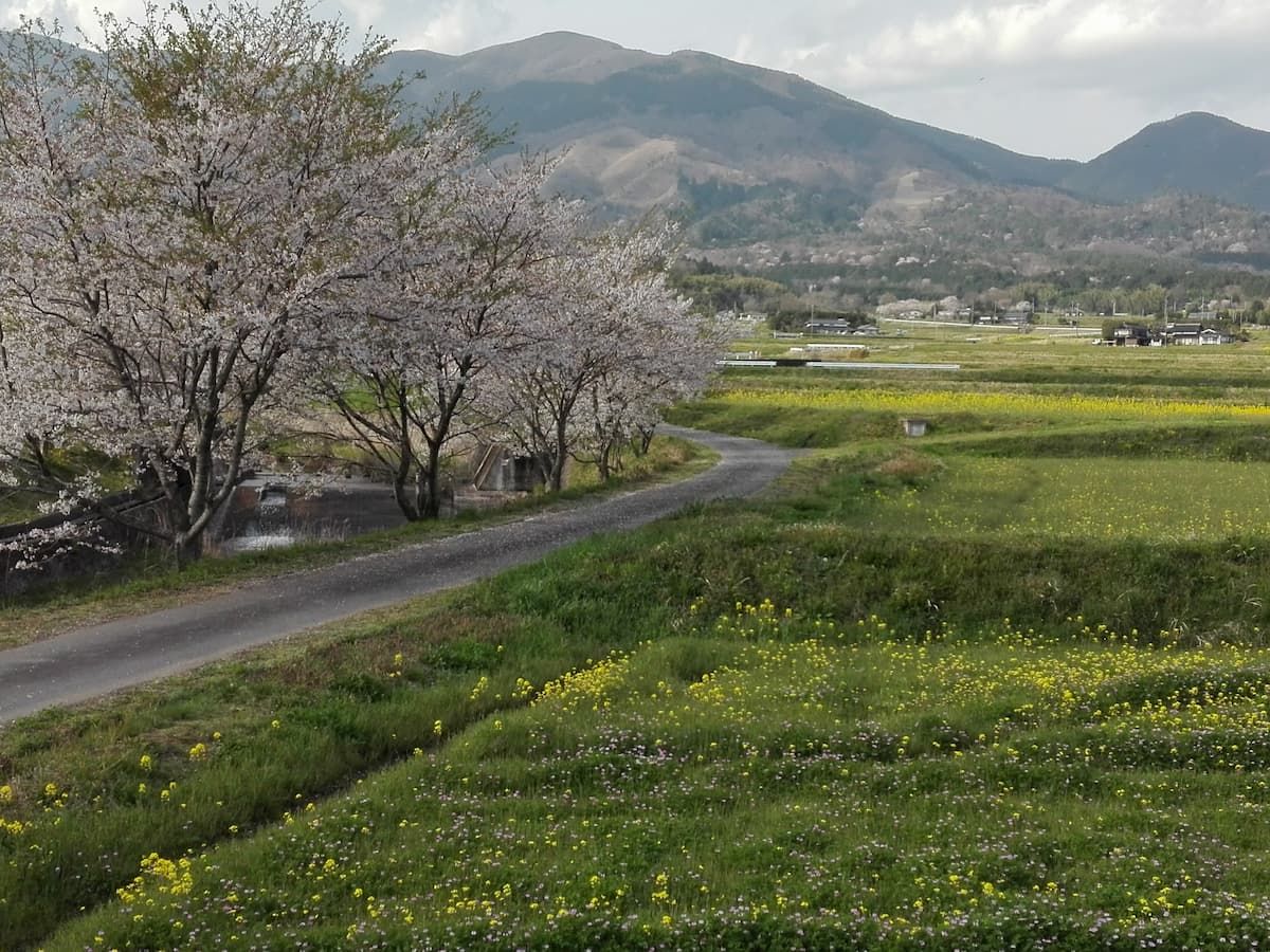 landscape-of-Nagi