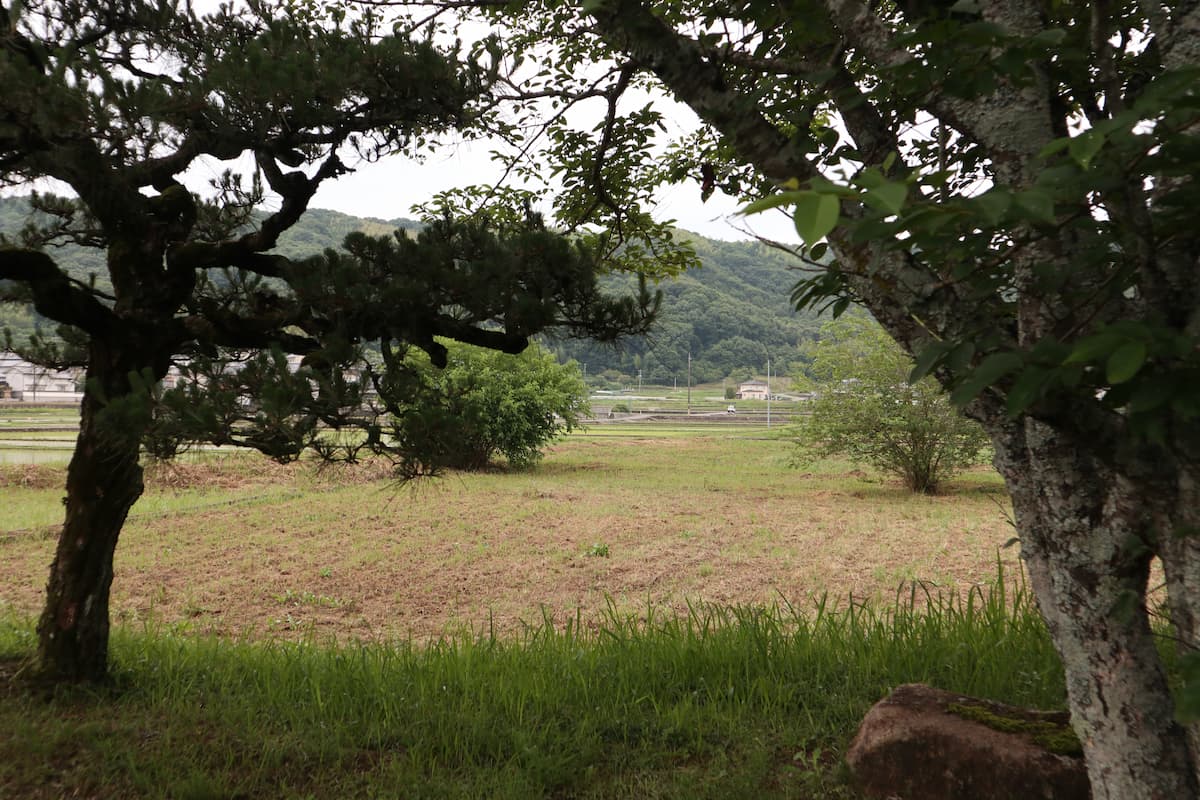 縣主神社近くの田園風景