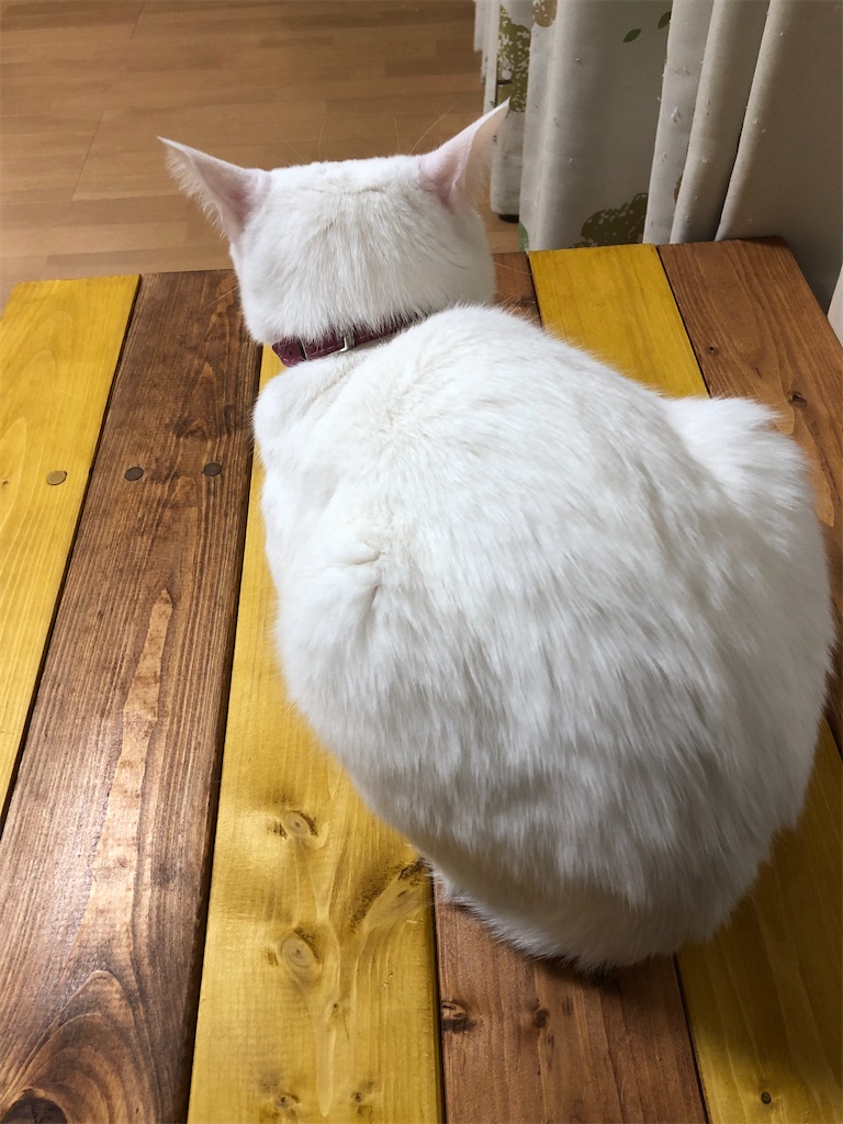 f:id:yukimiki693:20191208232403j:image f:id:yukimiki693:20191208232403j:image