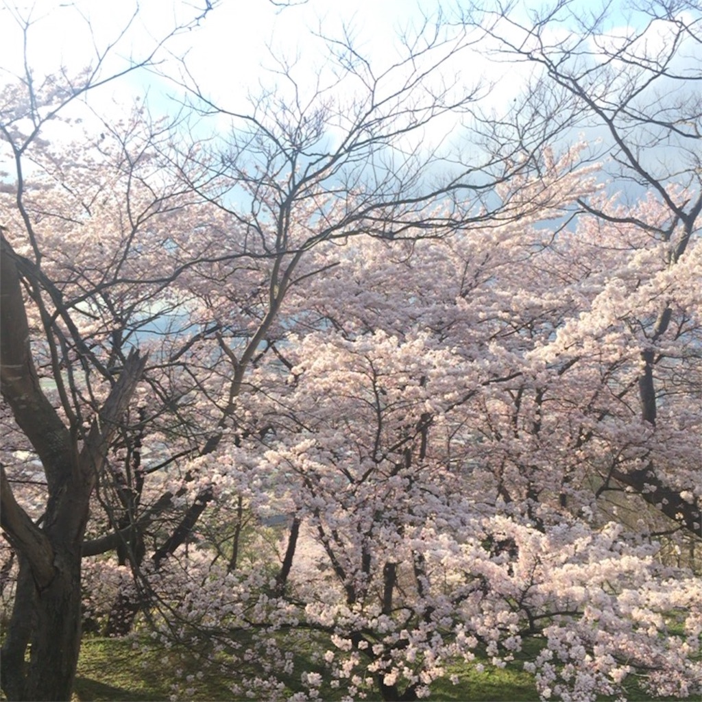 f:id:yukimofk:20160418234921j:image f:id:yukimofk:20160418234921j:image