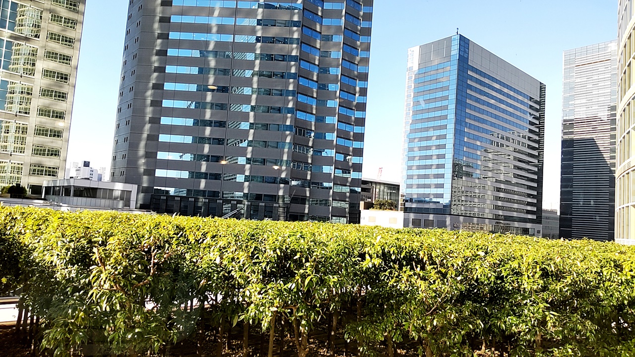 f:id:yukimura4:20211228094448j:plain