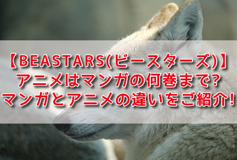 f:id:yukinak0:20201127120737j:plain