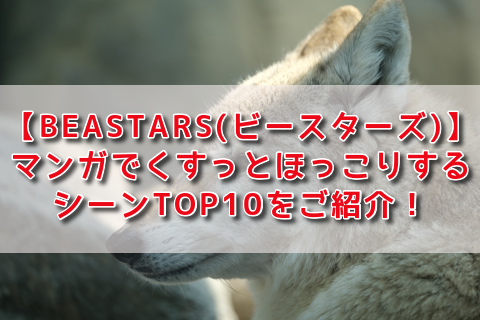 f:id:yukinak0:20201128112621p:plain