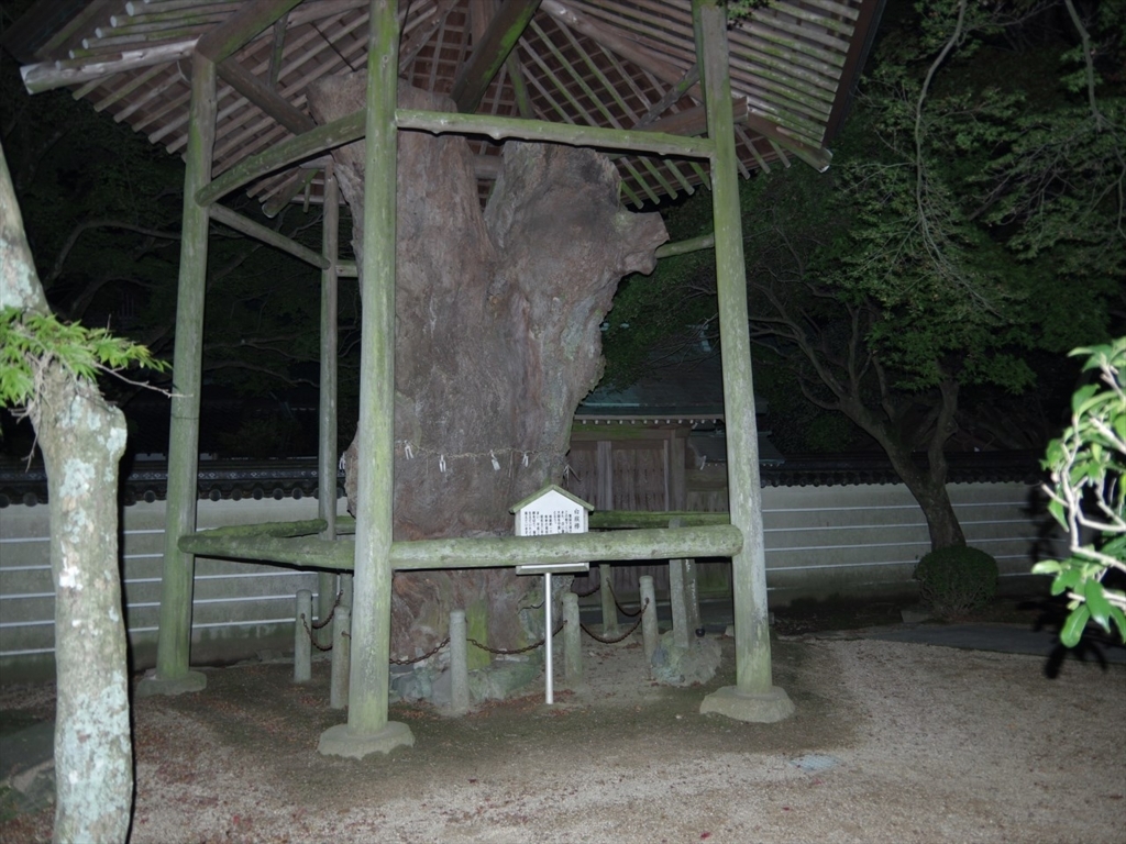 f:id:yukinari1204:20171224182920j:plain f:id:yukinari1204:20171224182920j:plain