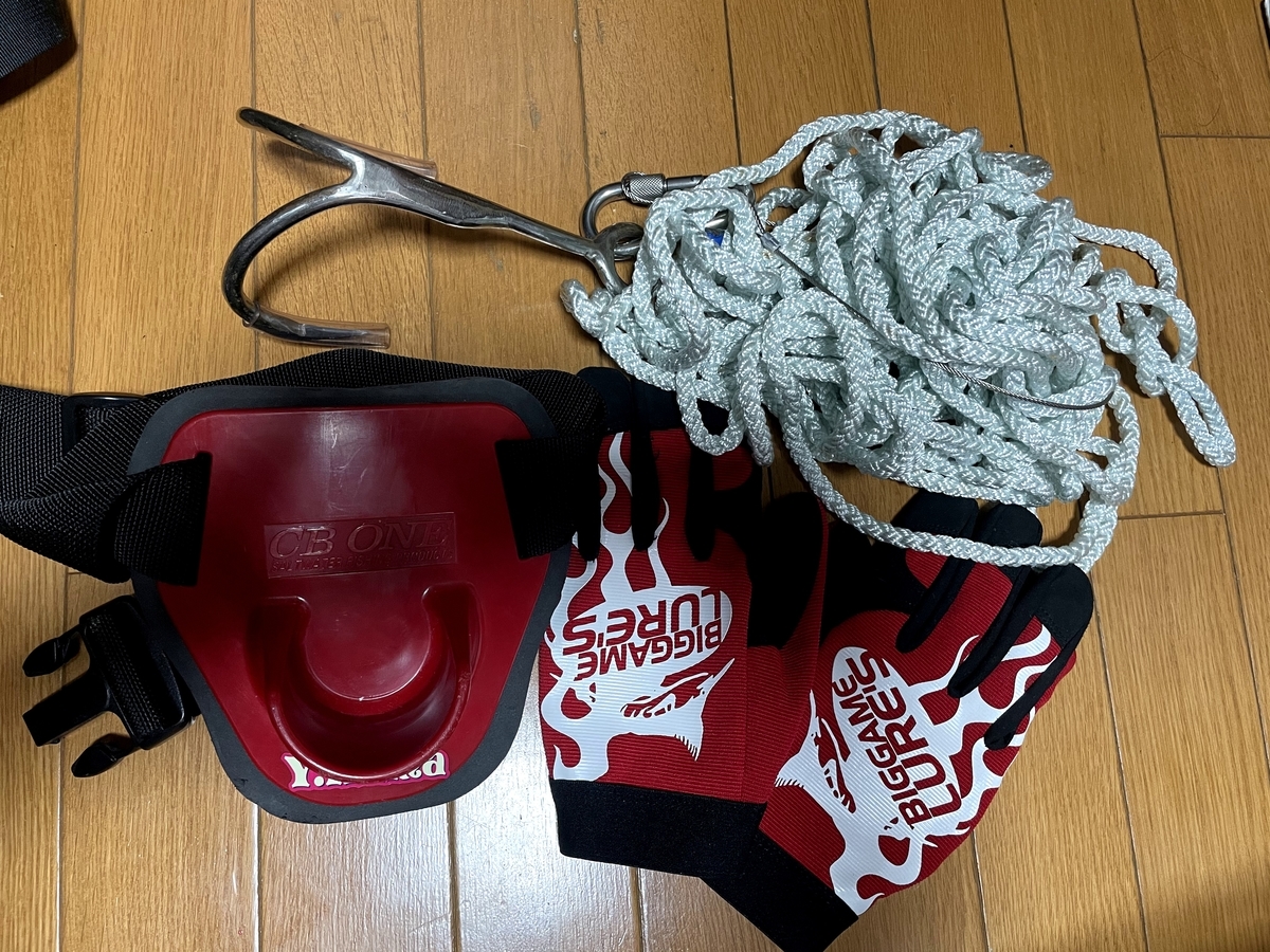 f:id:yukinari1204:20210109225442j:plain