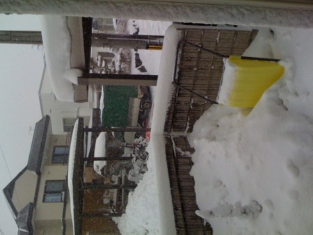 f:id:yukinarian0:20100102062112j:image f:id:yukinarian0:20100102062112j:image