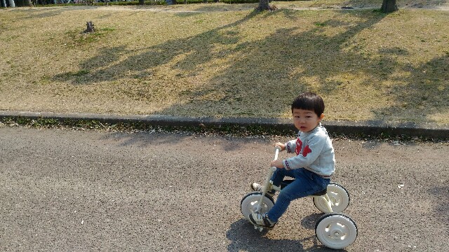 f:id:yukincomama:20170319142612j:image f:id:yukincomama:20170319142612j:image