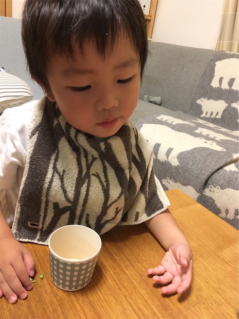 f:id:yukincomama:20170629110148j:image