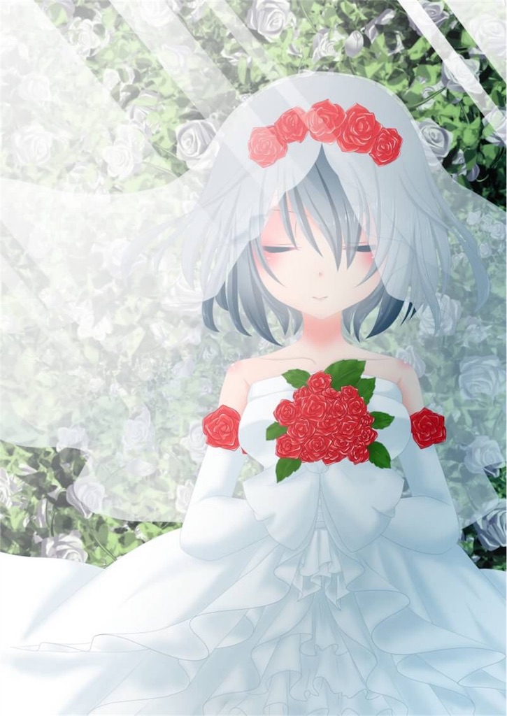 f:id:yukineko-02:20180716070208j:image