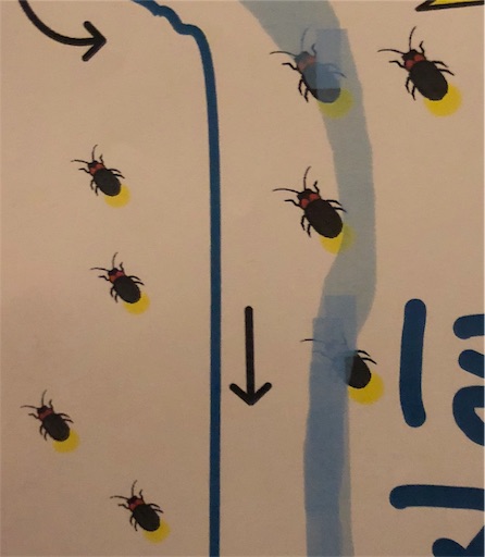 f:id:yukinekokei:20190629141054j:image f:id:yukinekokei:20190629141054j:image