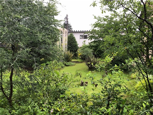 f:id:yukinekokei:20190721203656j:image f:id:yukinekokei:20190721203656j:image