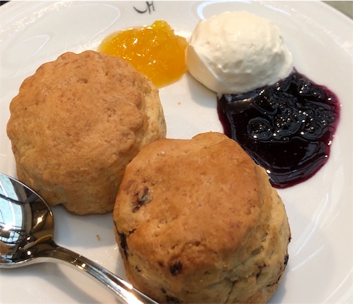 f:id:yukinekokei:20190722130237j:image f:id:yukinekokei:20190722130237j:image