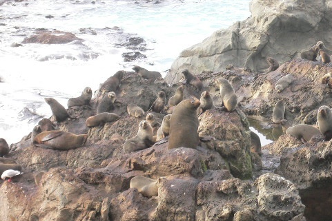 f:id:yukinekokei:20190901215043j:plain f:id:yukinekokei:20190901215043j:plain