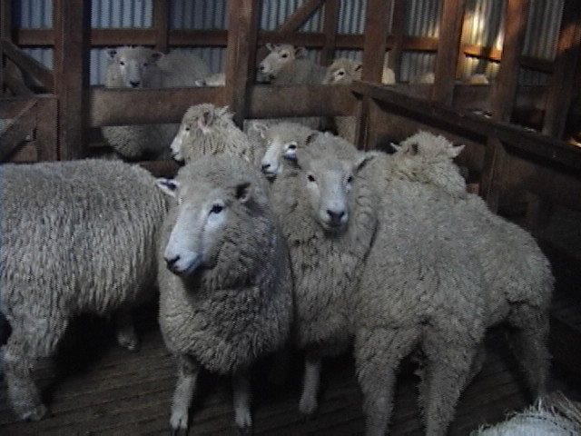 f:id:yukinekokei:20190901215214j:plain f:id:yukinekokei:20190901215214j:plain