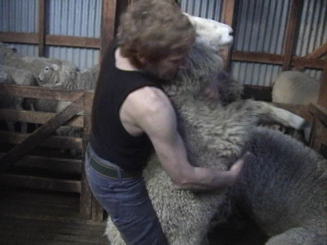 f:id:yukinekokei:20190901215225j:plain f:id:yukinekokei:20190901215225j:plain