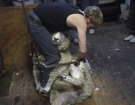 f:id:yukinekokei:20190901215246j:plain f:id:yukinekokei:20190901215246j:plain