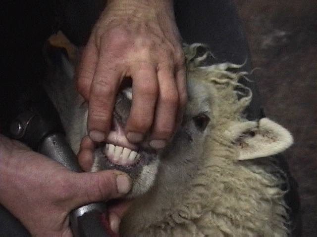 f:id:yukinekokei:20190901215311j:plain f:id:yukinekokei:20190901215311j:plain