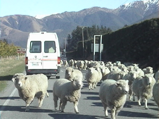 f:id:yukinekokei:20190901215334j:plain f:id:yukinekokei:20190901215334j:plain