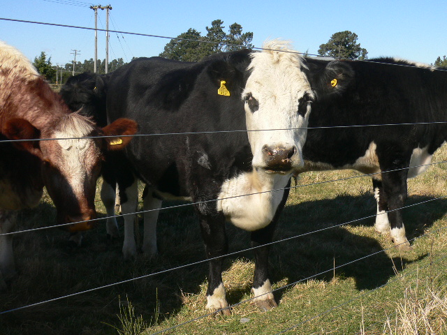 f:id:yukinekokei:20190901221520j:plain f:id:yukinekokei:20190901221520j:plain