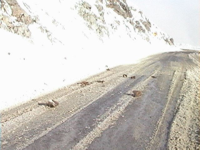 f:id:yukinekokei:20190901223241j:plain f:id:yukinekokei:20190901223241j:plain