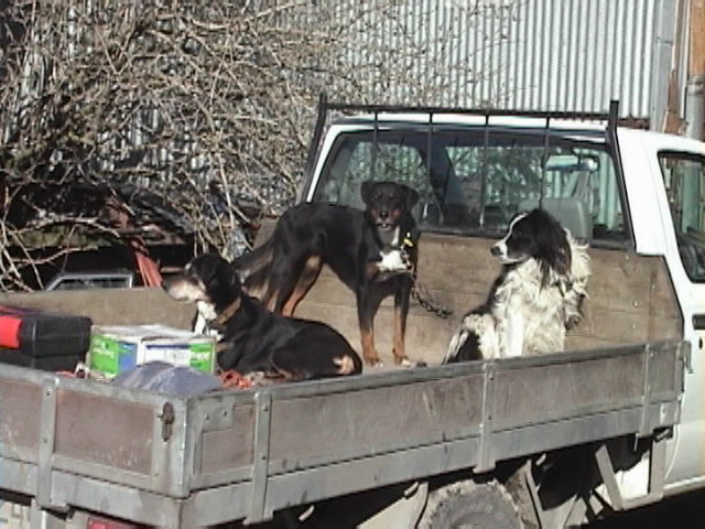 f:id:yukinekokei:20190902104356j:plain f:id:yukinekokei:20190902104356j:plain