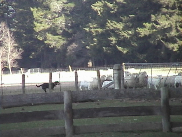 f:id:yukinekokei:20190902104411j:plain f:id:yukinekokei:20190902104411j:plain