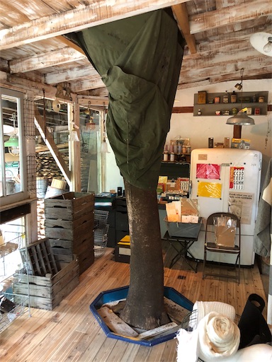 f:id:yukinekokei:20190909132548j:image f:id:yukinekokei:20190909132548j:image