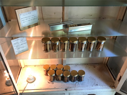 f:id:yukinekokei:20190909132902j:image f:id:yukinekokei:20190909132902j:image