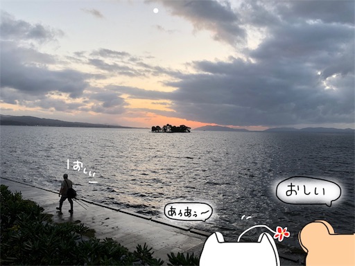 f:id:yukinekokei:20191009204359j:image