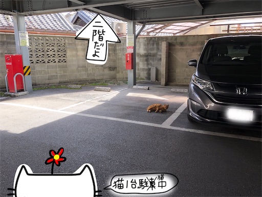 f:id:yukinekokei:20191027214400j:image f:id:yukinekokei:20191027214400j:image