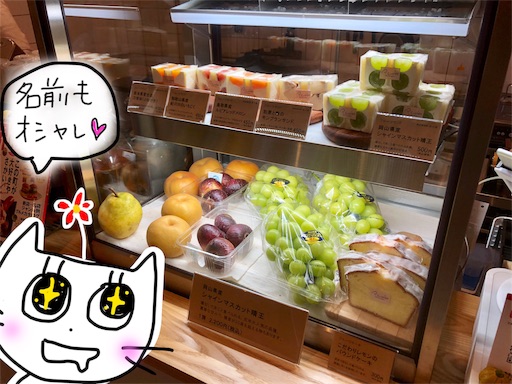 f:id:yukinekokei:20191030214306j:image