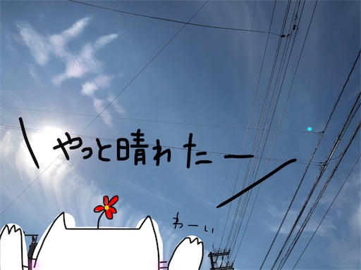 f:id:yukinekokei:20191031224424j:plain f:id:yukinekokei:20191031224424j:plain