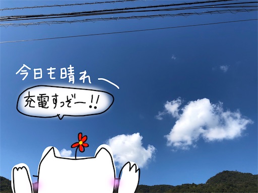 f:id:yukinekokei:20191031224429j:image f:id:yukinekokei:20191031224429j:image