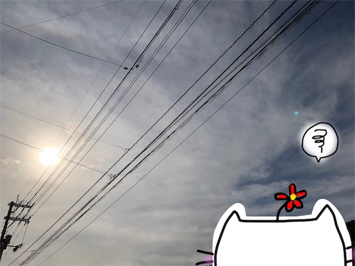 f:id:yukinekokei:20191031224437j:image f:id:yukinekokei:20191031224437j:image