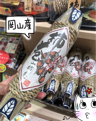 f:id:yukinekokei:20191118124231j:image