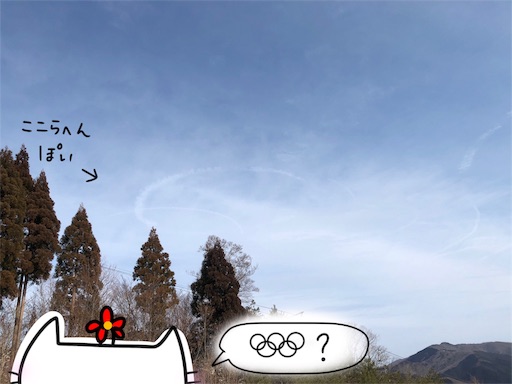 f:id:yukinekokei:20200214220040j:image f:id:yukinekokei:20200214220040j:image