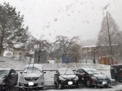 f:id:yukinekokei:20200217171222j:image f:id:yukinekokei:20200217171222j:image