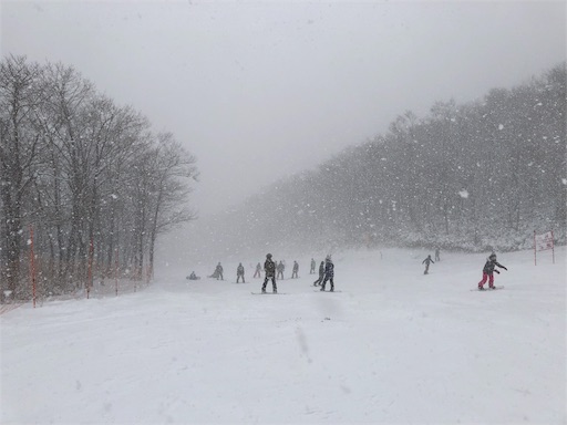 f:id:yukinekokei:20200217171352j:image f:id:yukinekokei:20200217171352j:image