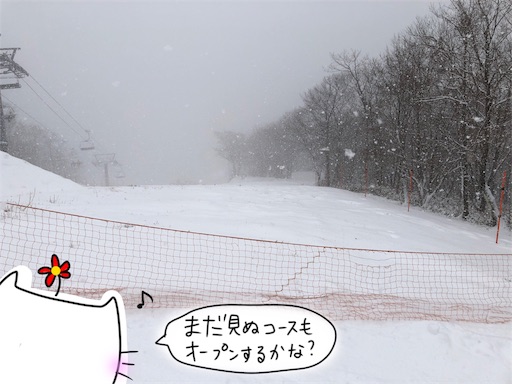 f:id:yukinekokei:20200217172916j:image f:id:yukinekokei:20200217172916j:image