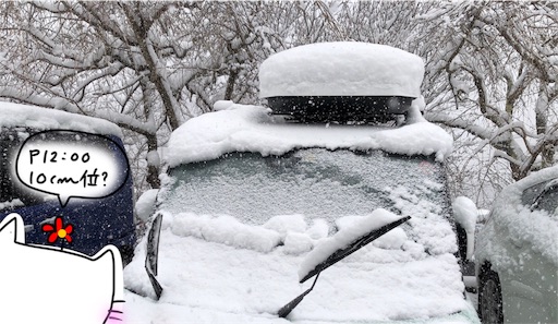 f:id:yukinekokei:20200217172926j:image f:id:yukinekokei:20200217172926j:image