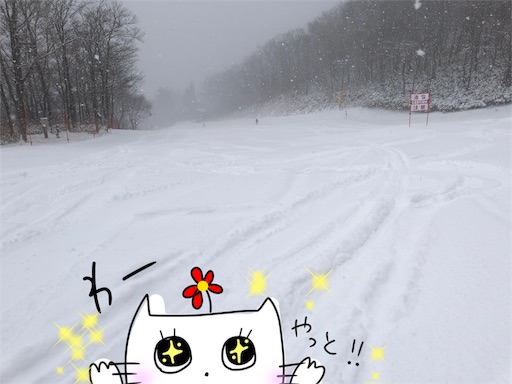 f:id:yukinekokei:20200217180929j:image f:id:yukinekokei:20200217180929j:image