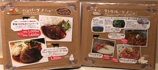 f:id:yukinekokei:20200329100714j:image