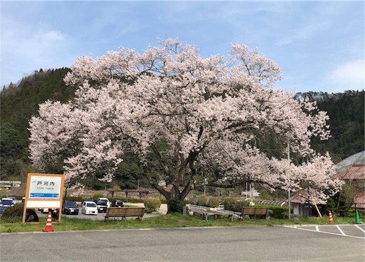f:id:yukinekokei:20200403211704j:plain