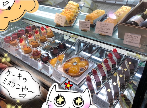 f:id:yukinekokei:20200424123929j:image
