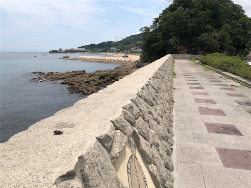 f:id:yukinekokei:20200814110108j:image