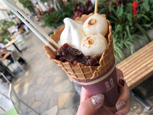 f:id:yukinekokei:20200817174622j:image