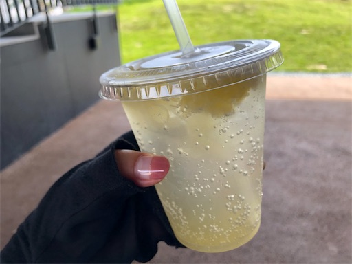 f:id:yukinekokei:20200907155431j:image f:id:yukinekokei:20200907155431j:image