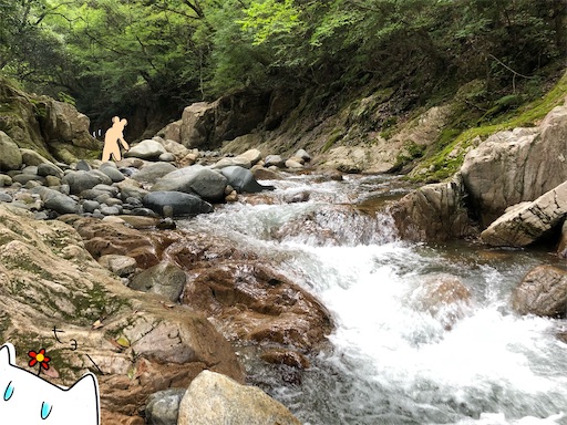 f:id:yukinekokei:20200927083443j:image